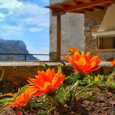 Volos View Residence Makrinítsa Eksteriør billede