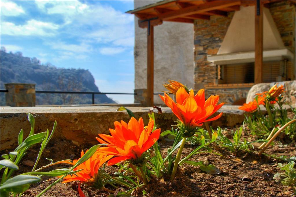 Volos View Residence Makrinítsa Eksteriør billede